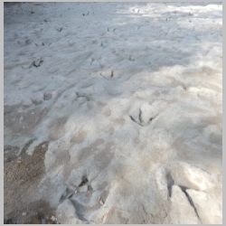 DSCN0780cr SW area.jpg